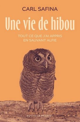 Une vie de hibou